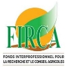 Partenaire 5